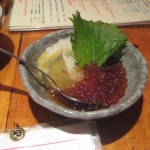 Salmon Roe