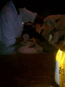 Shucking Oysters at City Crab Seafood Company