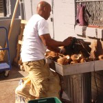 Cutting Coconuts at Feast of San Gennaro